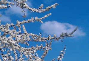 Ihre Haut im Frühling